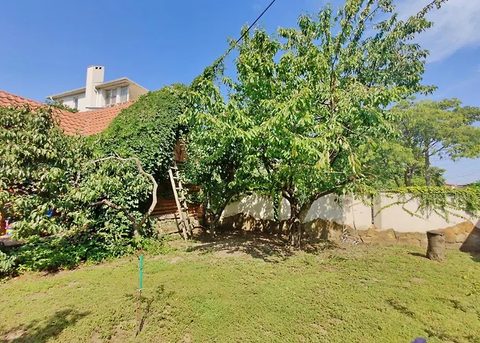 приватний з басейном біля моря совіньон أوديسا