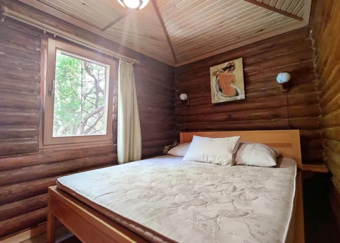 приватний з басейном біля моря совіньон Holiday home Odesa