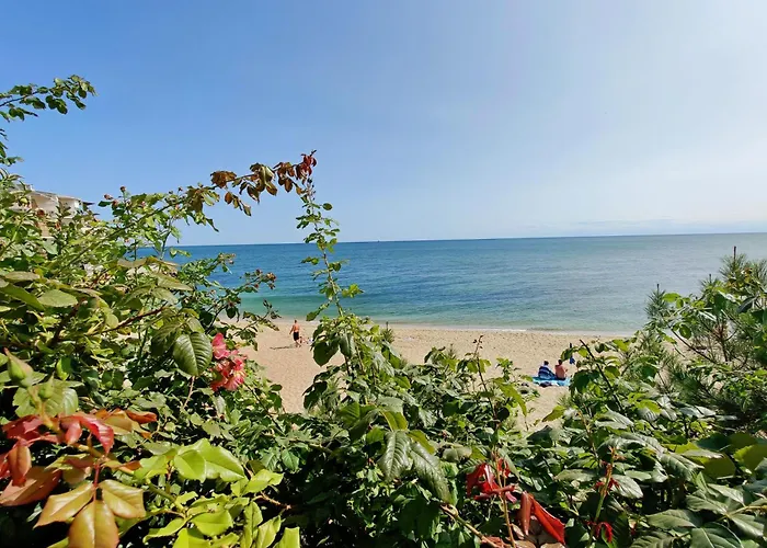 приватний з басейном біля моря совіньон Holiday home Odesa